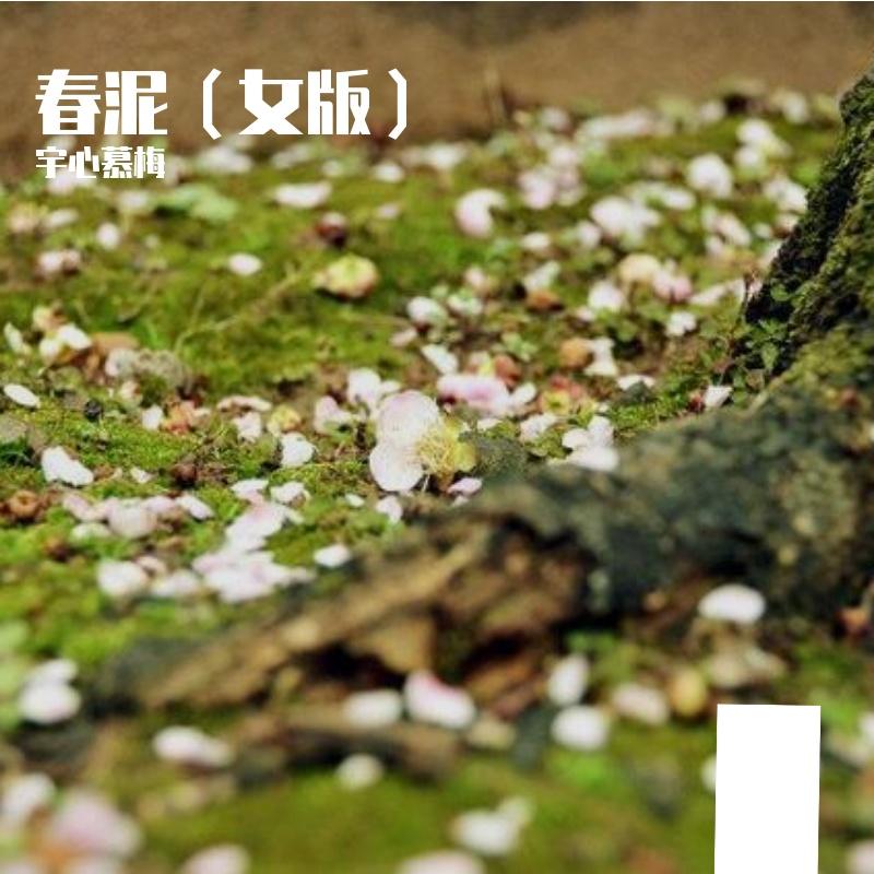 春泥(女版）封面
