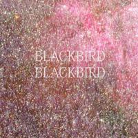 Blackbird Blackbird