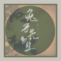 兔子先生