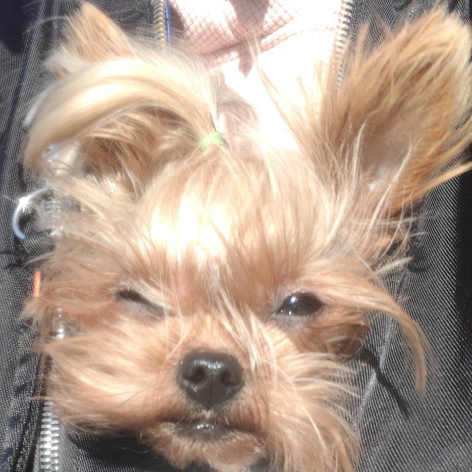 小众歌单/不吵不闹旋律为主