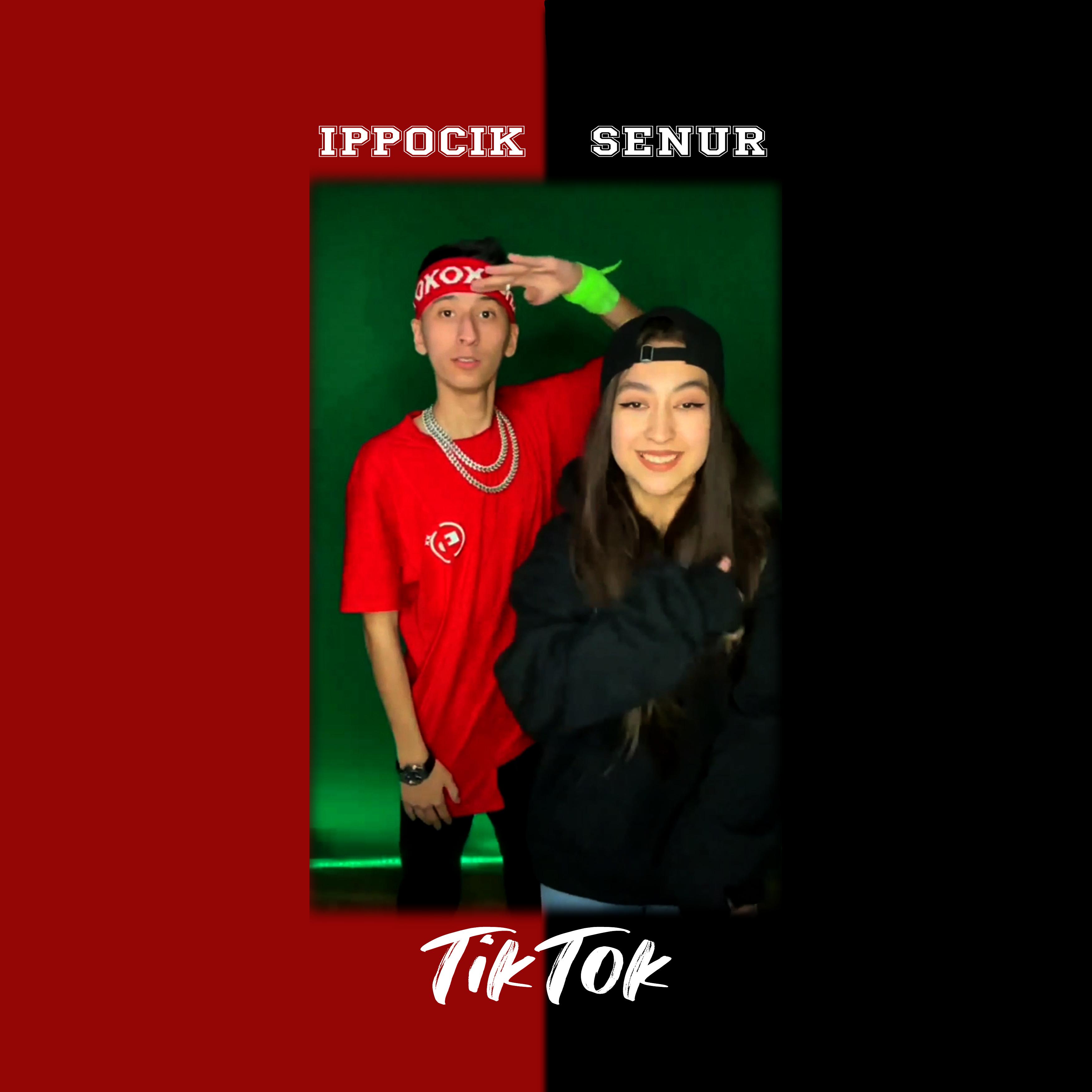 Tiktok (feat. Senur)