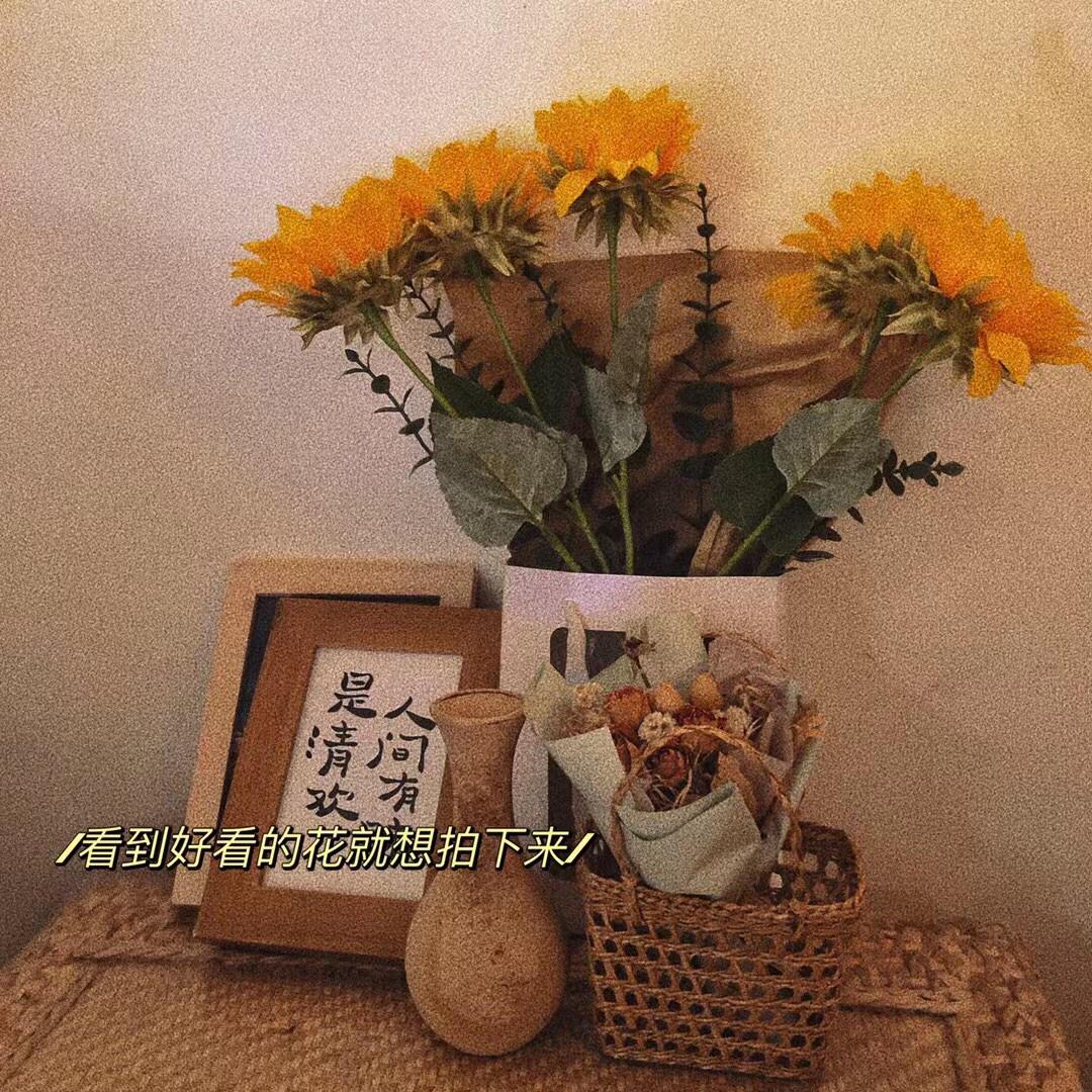 毛南族迎客歌封面