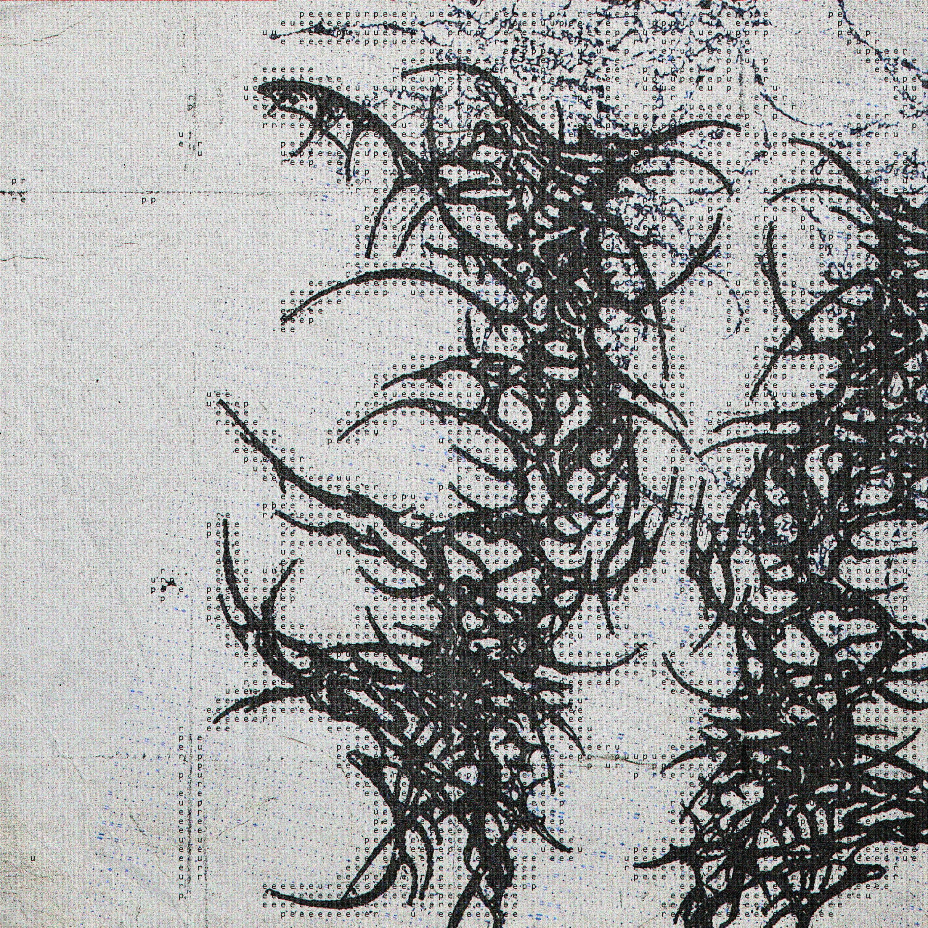 TELL ME WHY (feat. onlywoke, Shayan & eyezke)