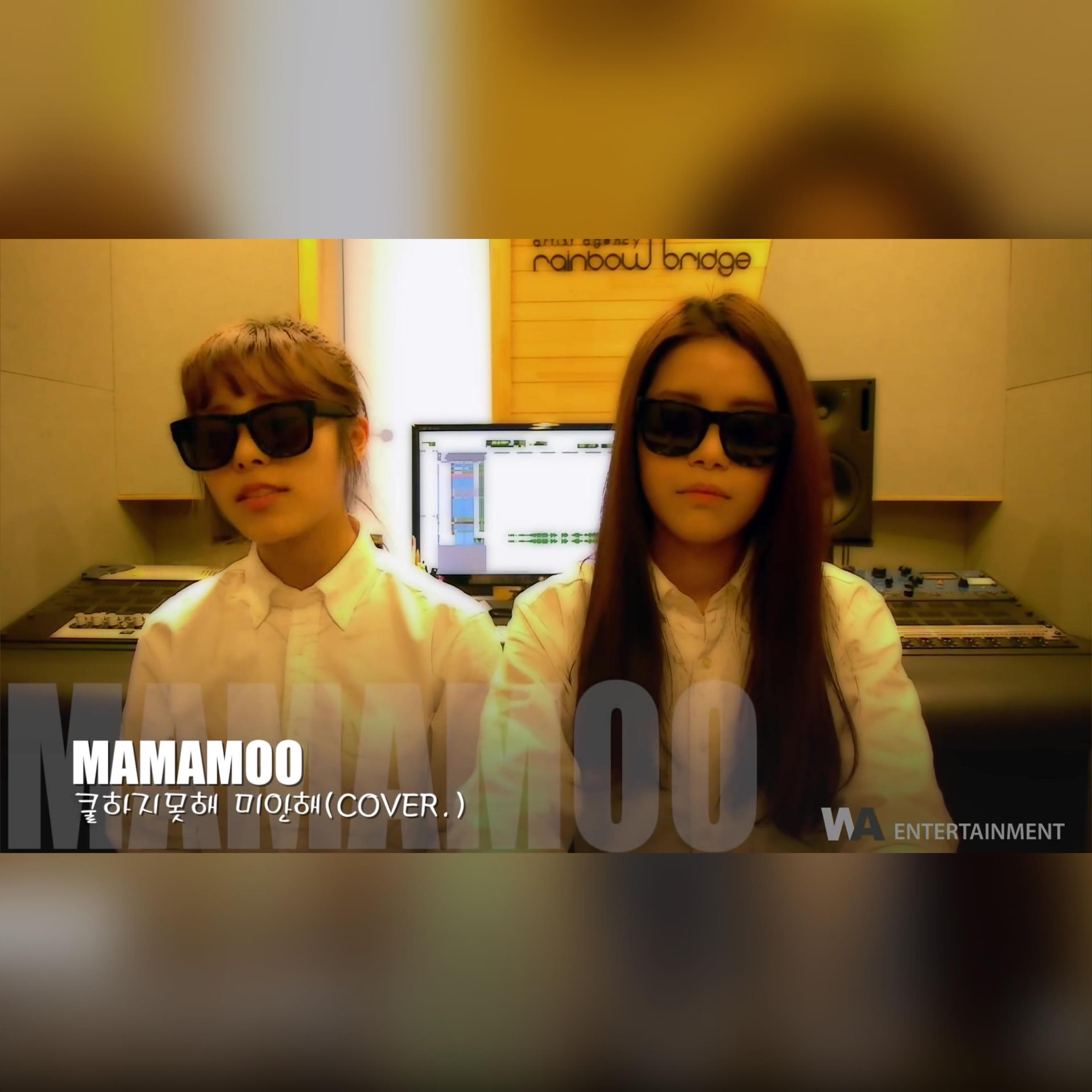 쿨하지 못해 미안해(酷不了,对不起)(cover)