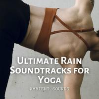 Ambient Sounds: Ultimate Rain Soundtracks for Yoga