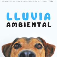 Lluvia Ambiental: Momentos De Sueño Profundo Con Mascotas Vol. 1