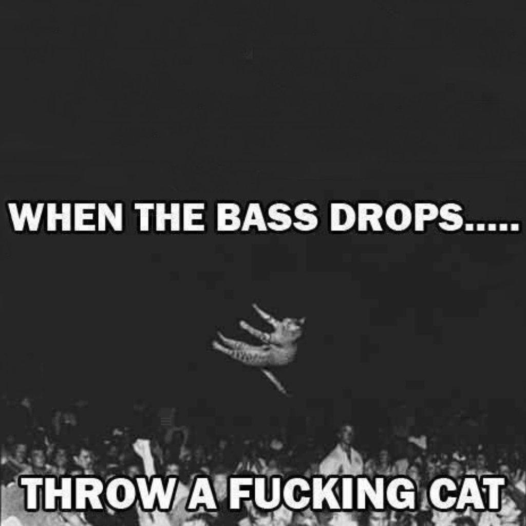 Electronic Makes Me Whole