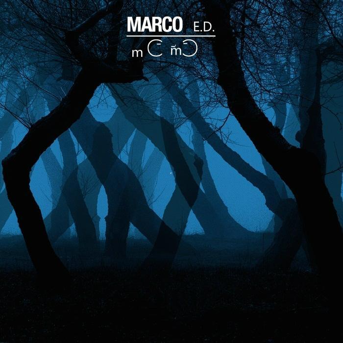 Taylor swift翻唱集