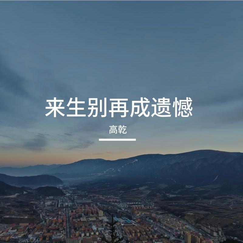 来生别成再遗憾封面
