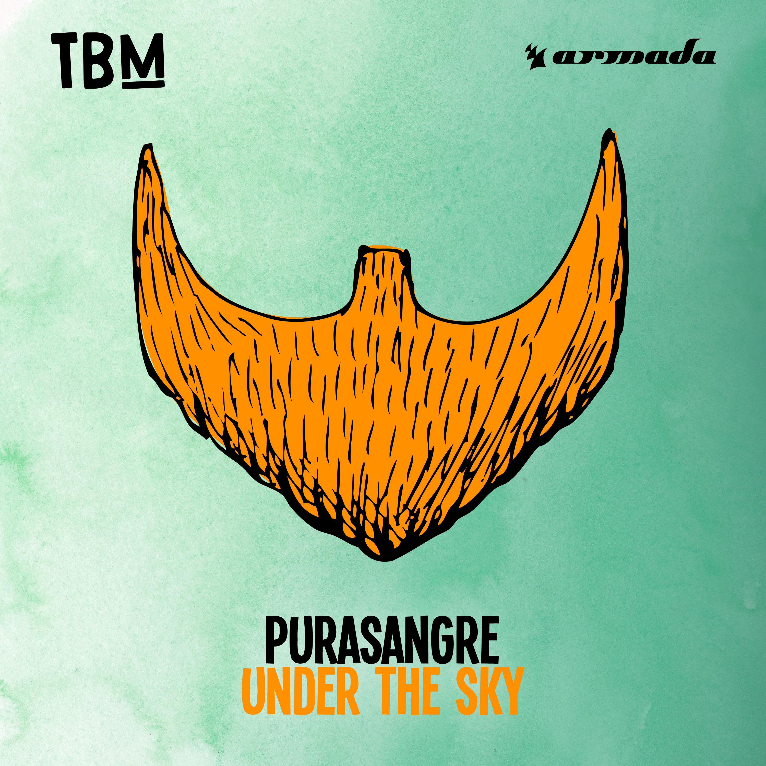 Under The Sky_Purasangre_Under The Sky | 在线播放_Under The Sky歌词_Under The Sky下载 | 网易云音乐