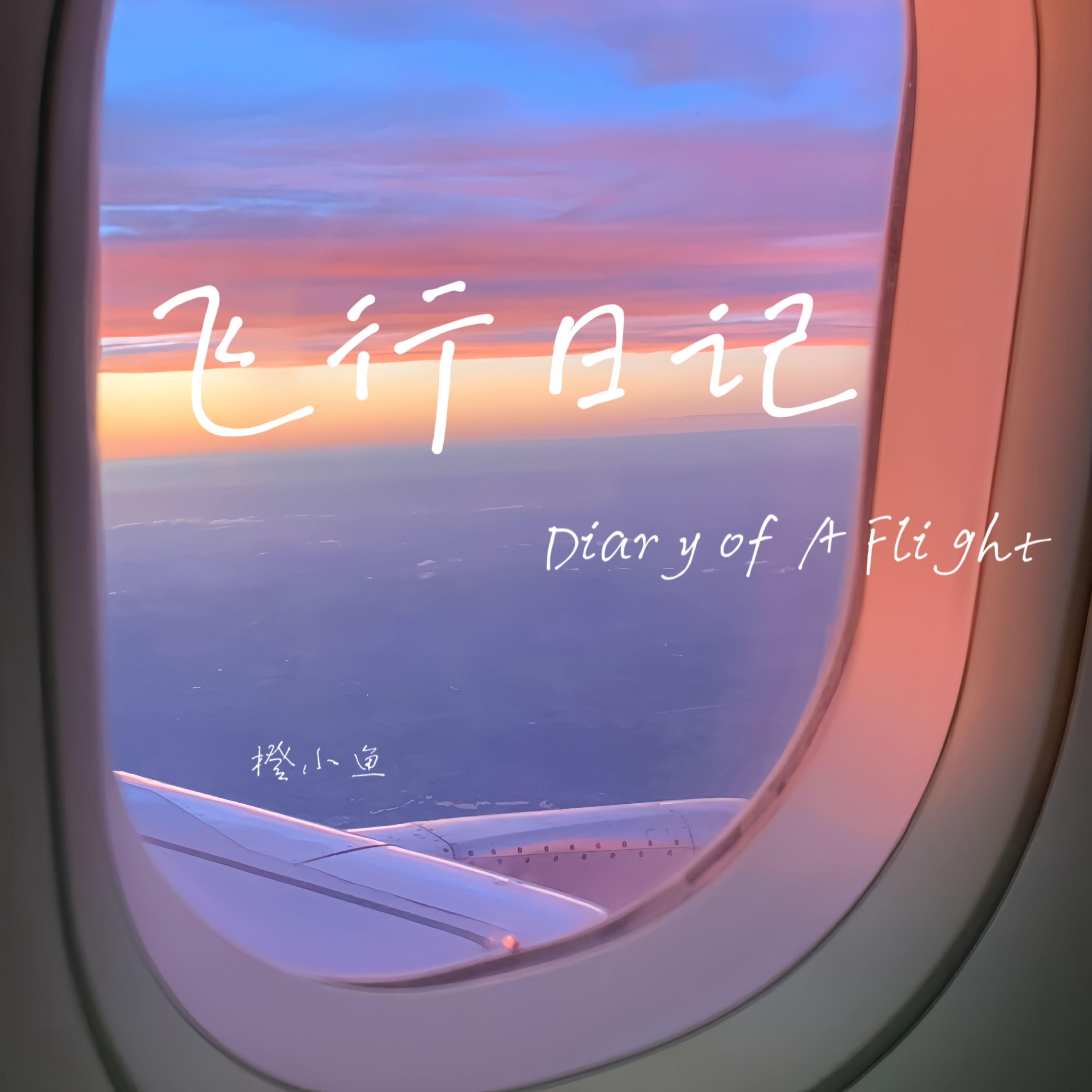 飞行日记(Diary of A Flight)封面