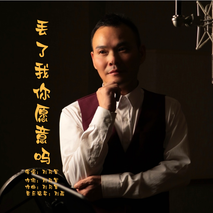 丢了我你愿意吗 (男伴奏) - 刘习军封面