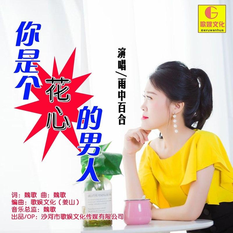 你是个花心的男人 (DJ版)封面