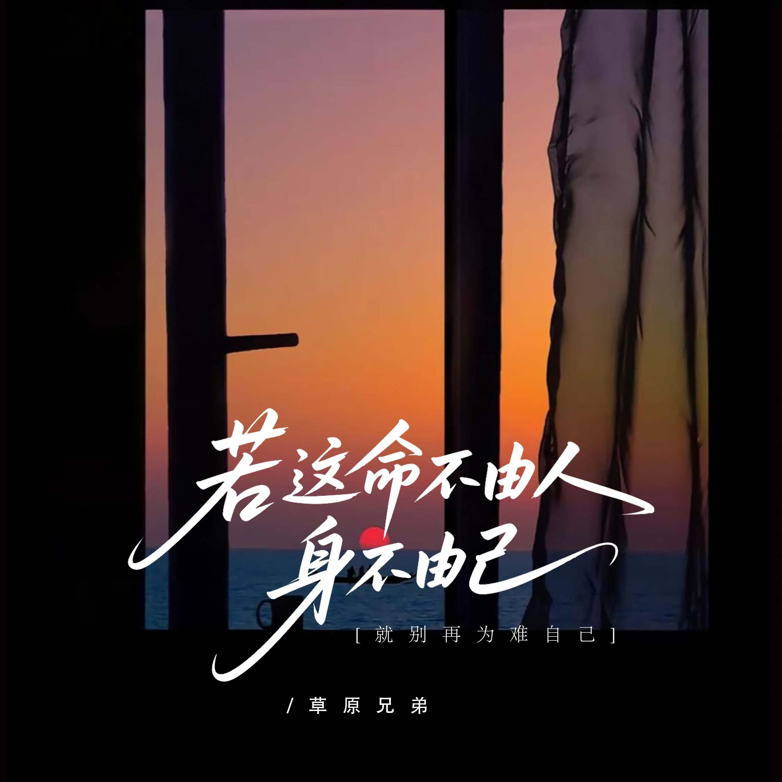 若这命不由人身不由己 - 草原兄弟封面