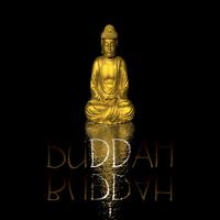 Buddah, Vol. 1 (The Best in Pure Chill Out, Lounge, Ambient)