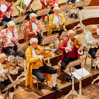 Vienna Mozart Orchestra