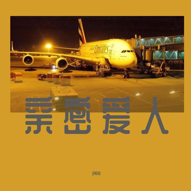 八月十三的风封面