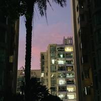 余奕扬Roniny