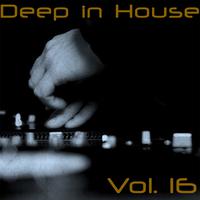 Deep in House, Vol. 16