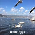 枯木逢春进行曲