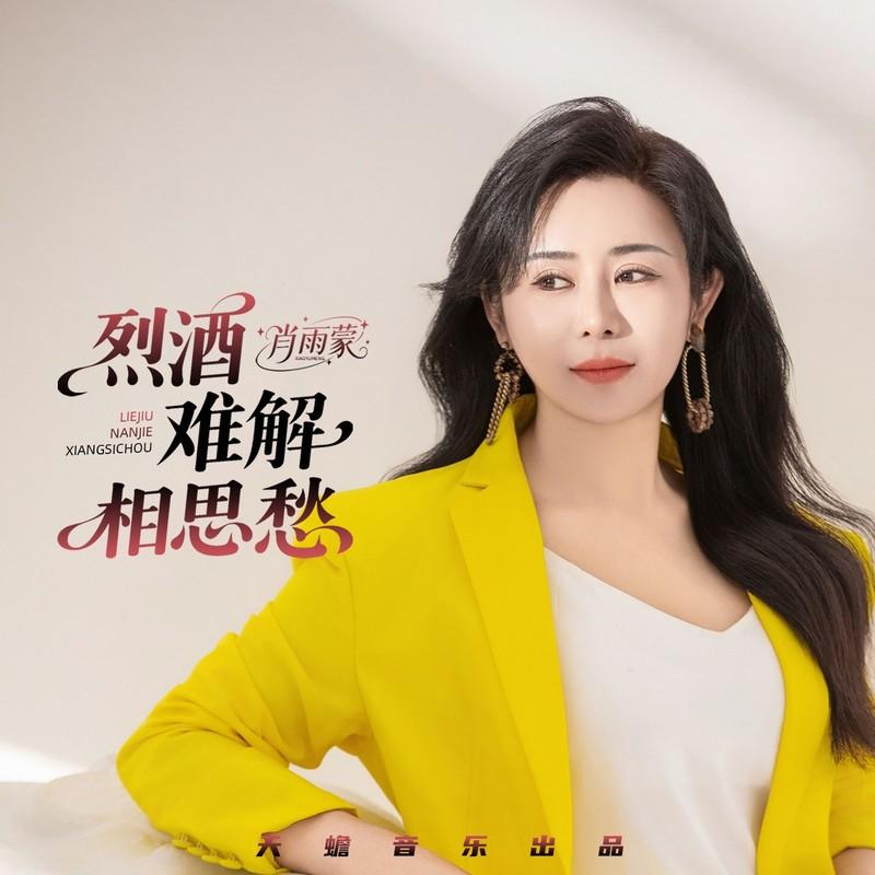 烈酒难解相思愁 (伴奏)封面