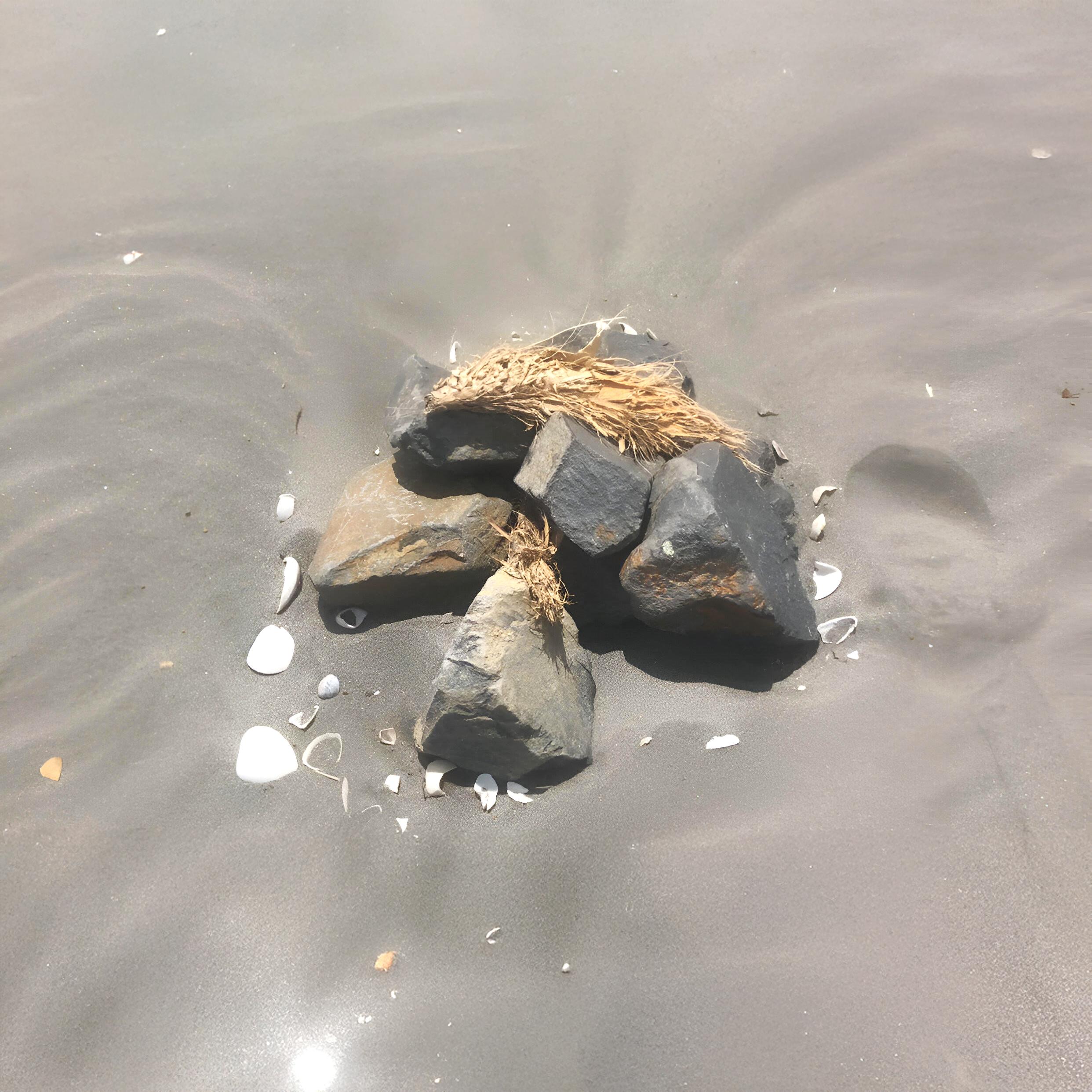 Dreaming of You (feat. Viznode)