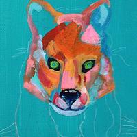 Night Animals