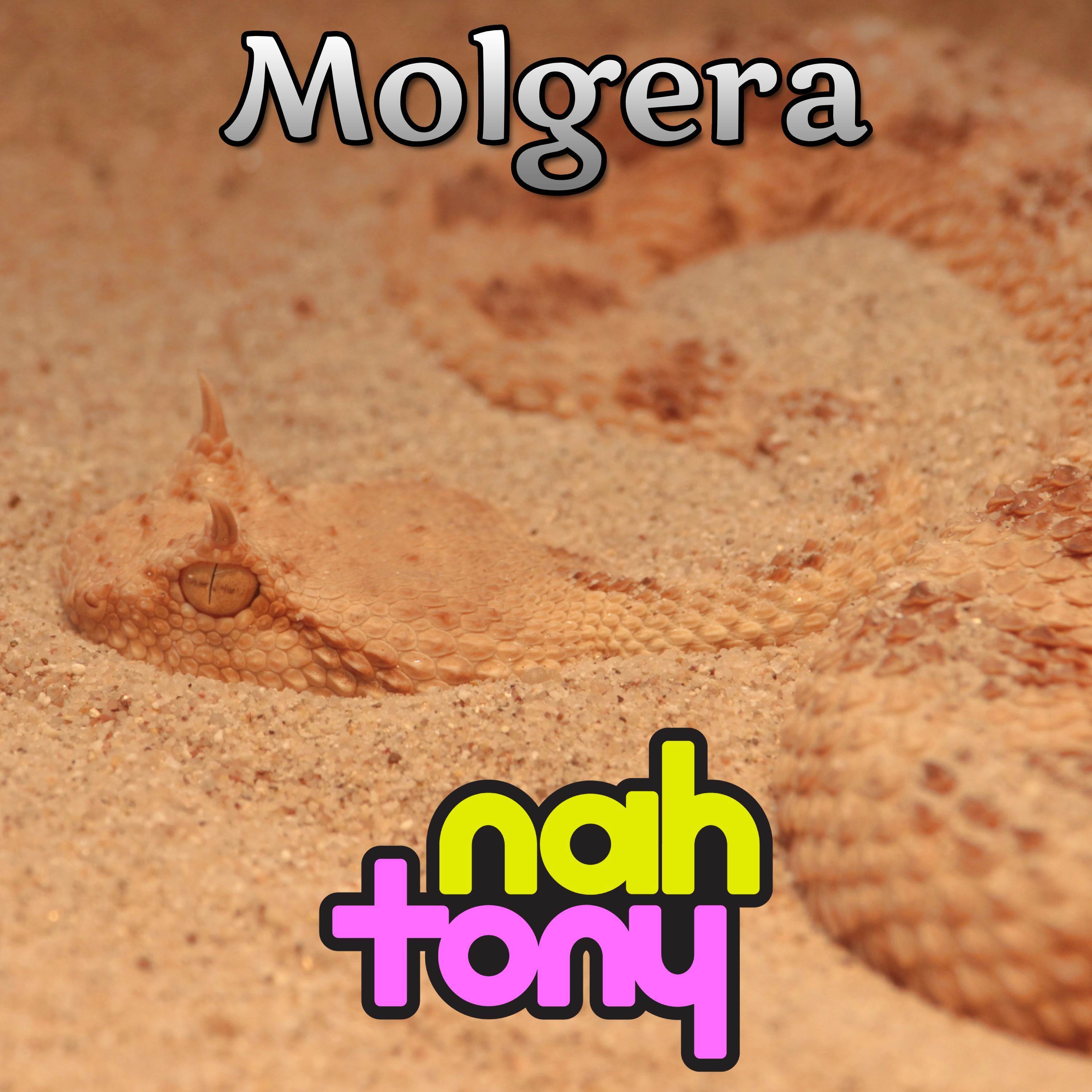 Molgera (From "The Legend of Zelda: The Wind Waker") (Metal Version)