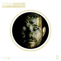 Freak Show, Vol. 12 - Progressive House & Electro Session