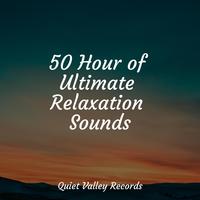 50 Hour of Ultimate Relaxation Sounds