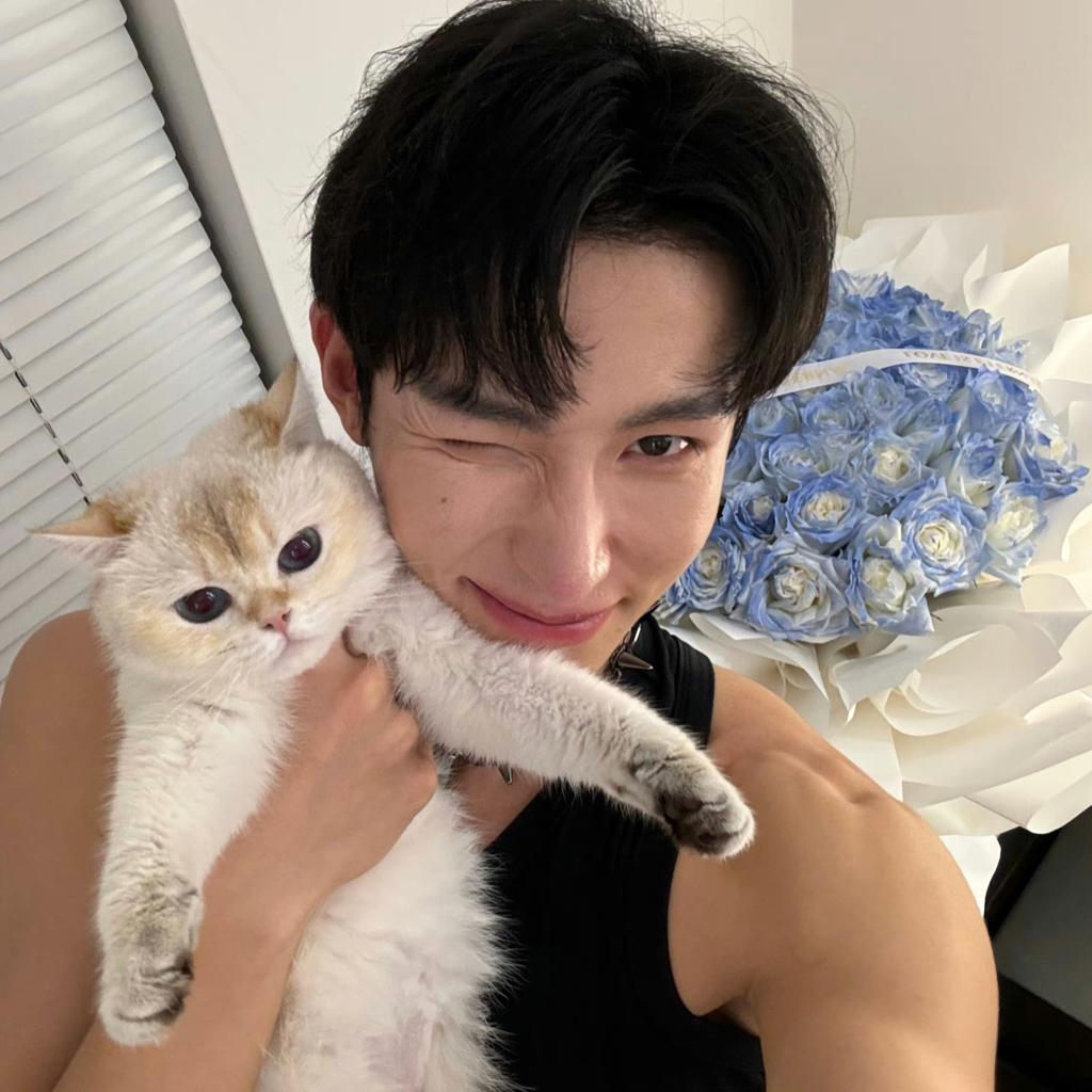 是橘子不是橙子11