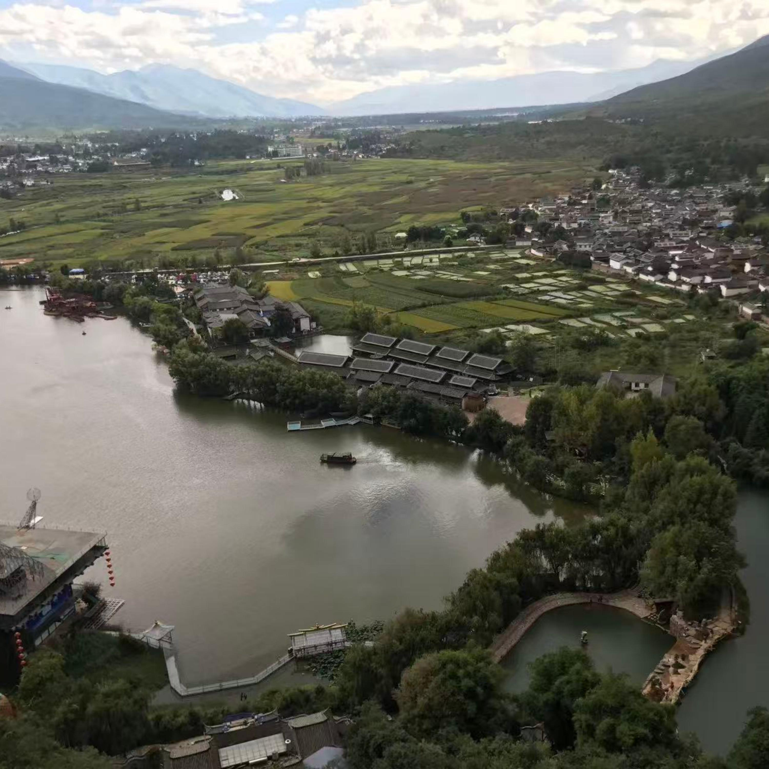 让我爱的沉醉封面