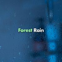 Forest Rain