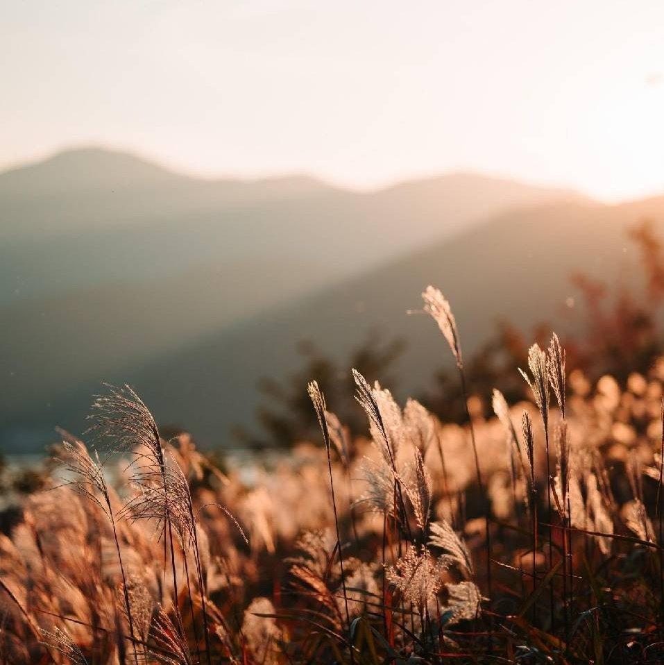 纯音乐/白噪音/自习必备