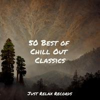 50 Best of Chill Out Classics