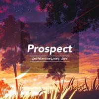 Prospect