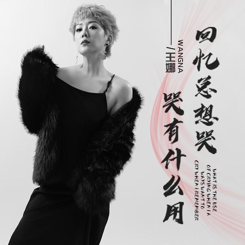 回忆总想哭 哭有什么用 (伴奏)封面