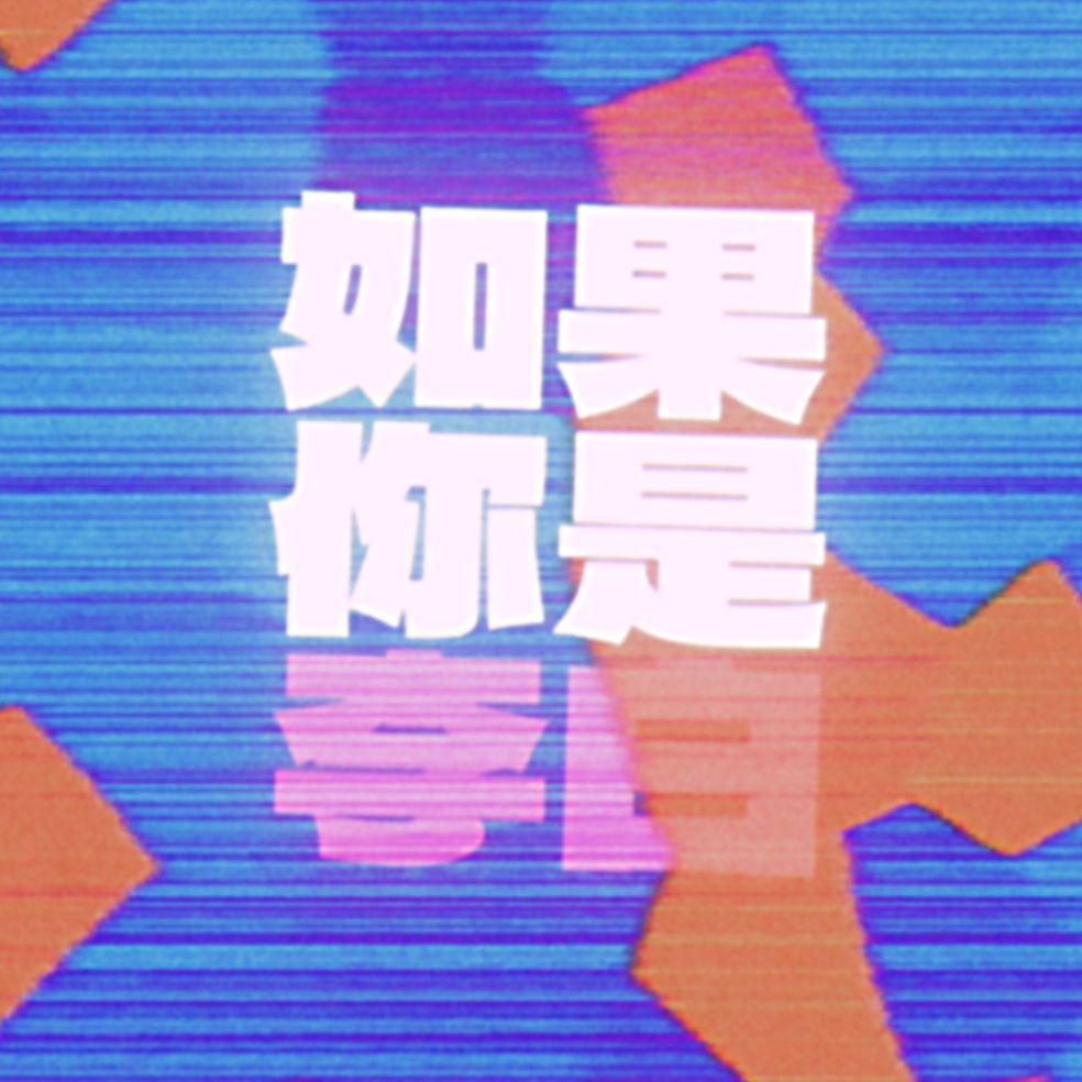 如果你是李白 (Disco Re-Imagined)封面