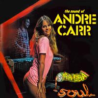 The Sound Of Andre Carr - Salsa Soul