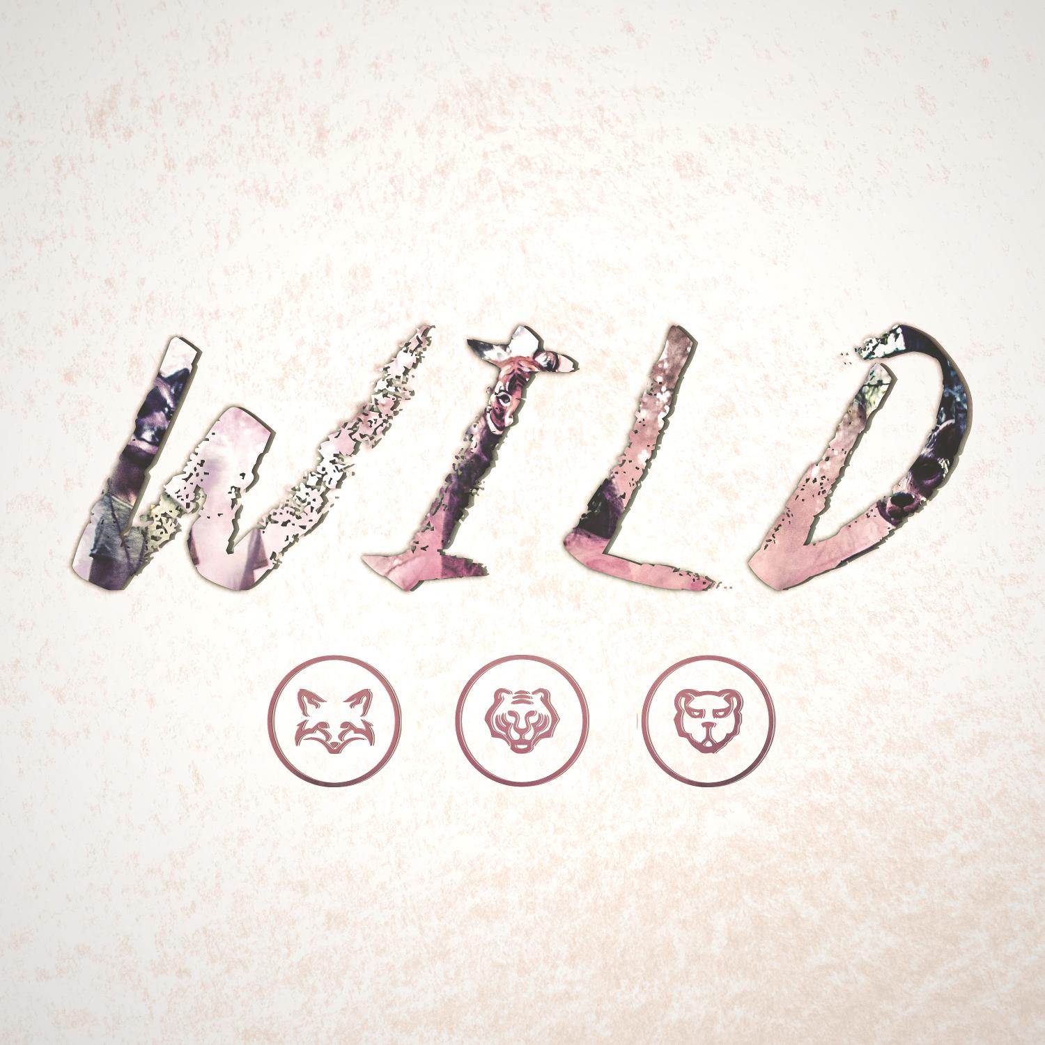 Vagabond - WILD封面