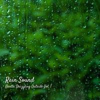 Rain Sound: Gentle Drizzling Outside Vol. 1