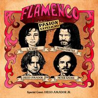 Flamenco: Pasion En Peligro