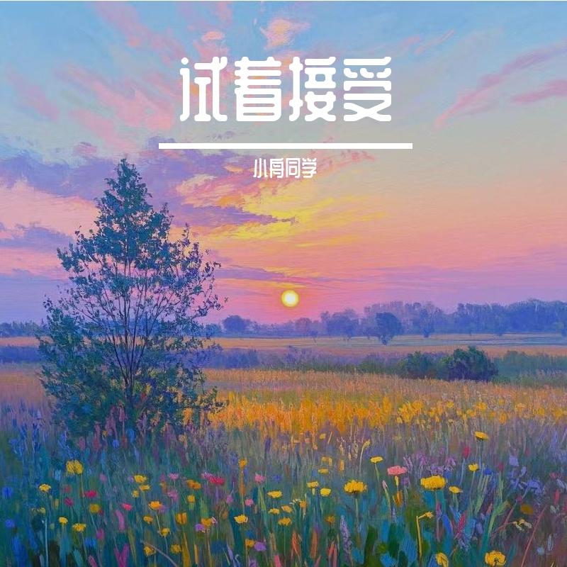 试着接受封面