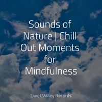 Sounds of Nature | Chill Out Moments for Mindfulness