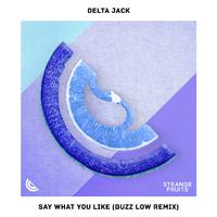 Say What You Like (Buzz Low Remix)