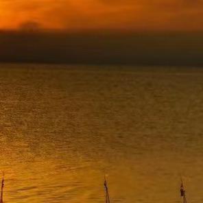 雨伞又遗落原地