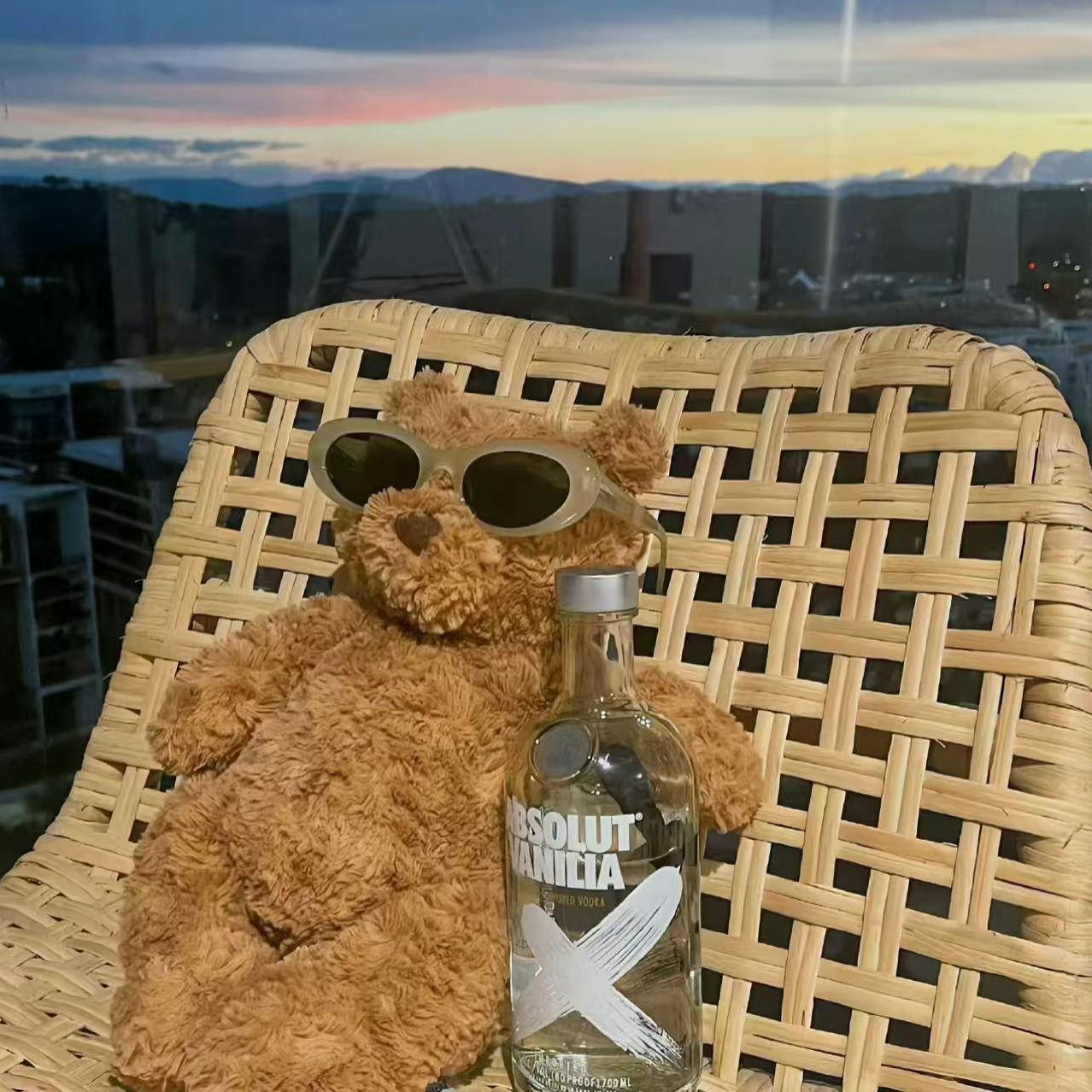 心随风荡封面
