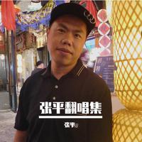 张平翻唱集