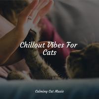 Chillout Vibes For Cats