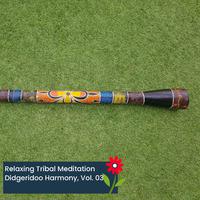 Relaxing Tribal Meditation Didgeridoo Harmony, Vol. 03